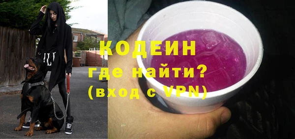 шишки Богородицк